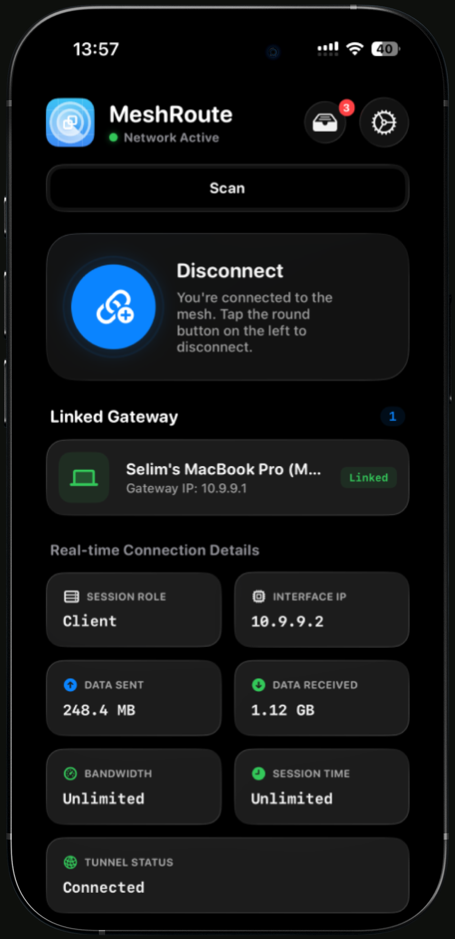 MeshRoute — a device joined to the mesh with its own LAN IP